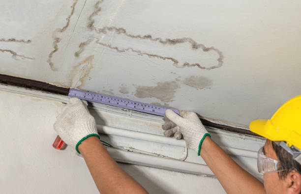 Reliable Burst Pipe Cleanup contractor in Empire, CO by Water Damage Irwin